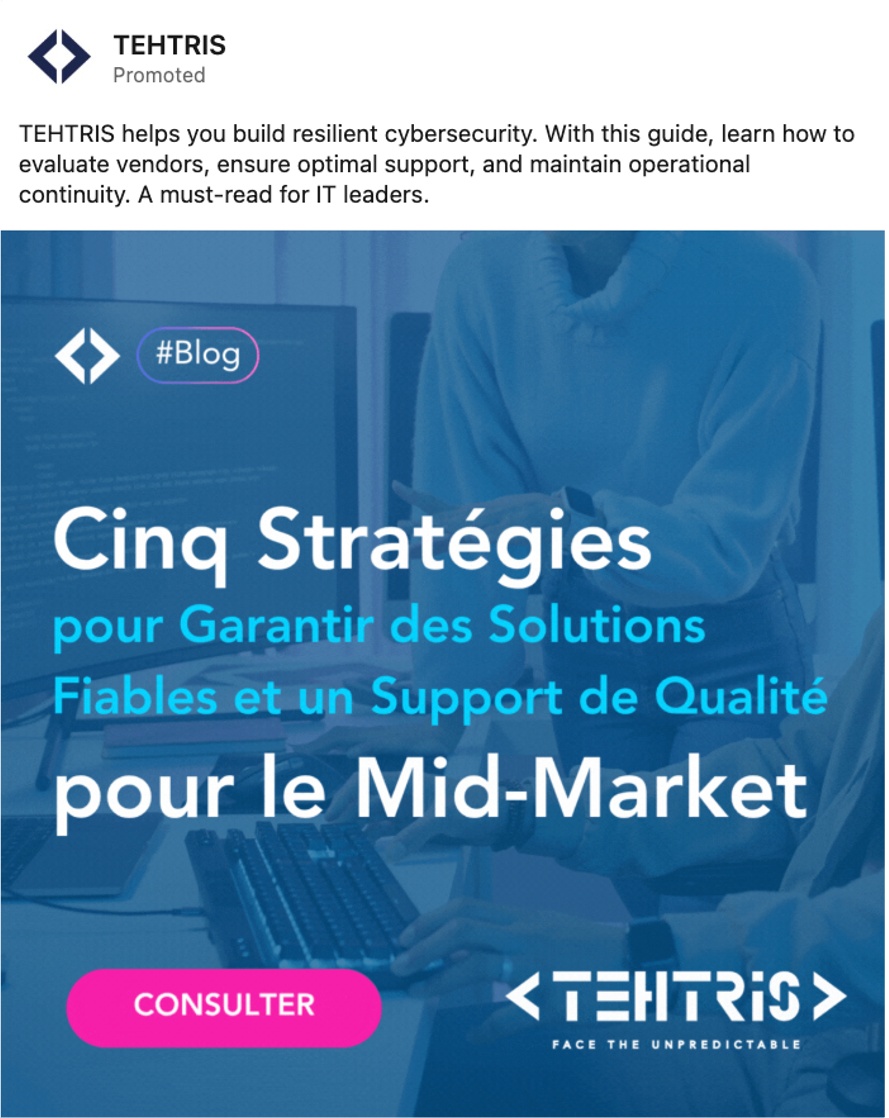 Publicité LinkedIn Ads TEHTRIS